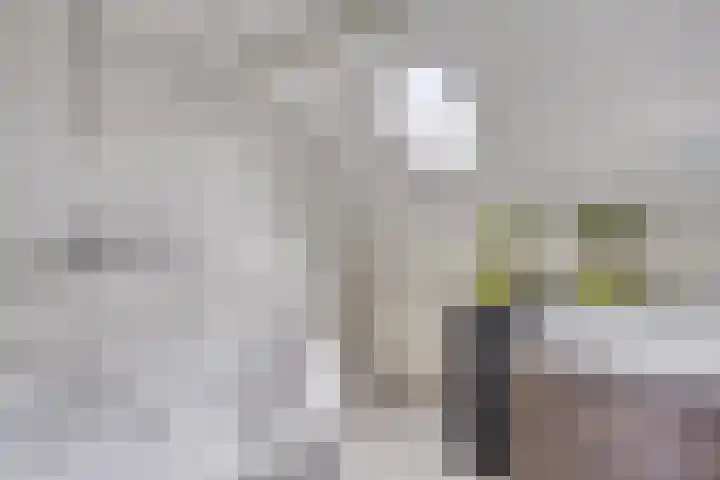 Schoutenlaan 118 Geertruidenberg thumbnail 19