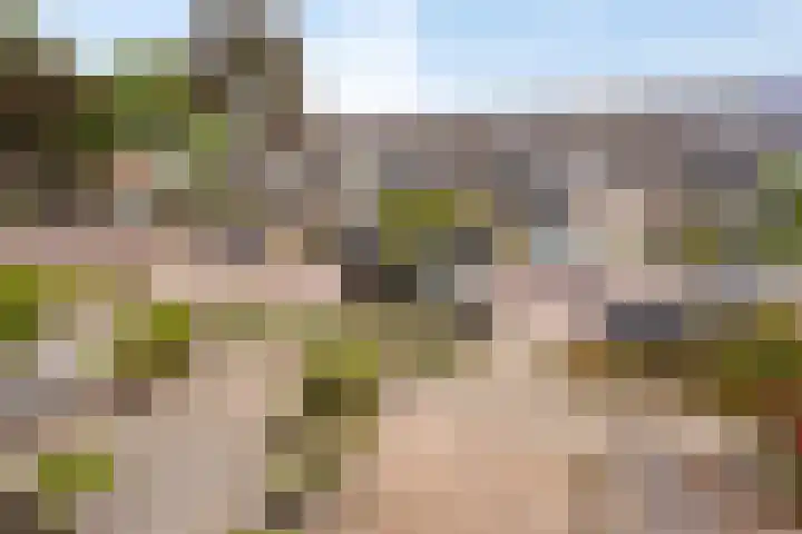 Schoutenlaan 118 Geertruidenberg thumbnail 24