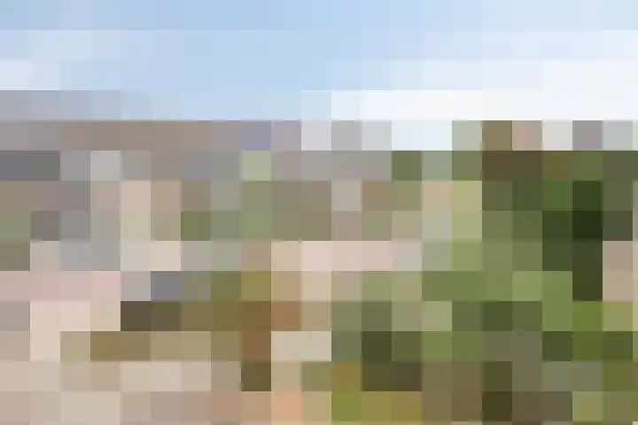 Schoutenlaan 118 Geertruidenberg thumbnail 25