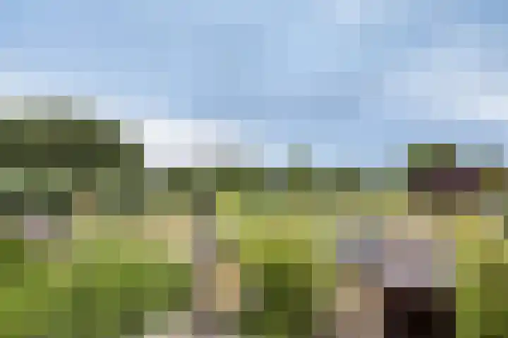 Schoutenlaan 118 Geertruidenberg thumbnail 26