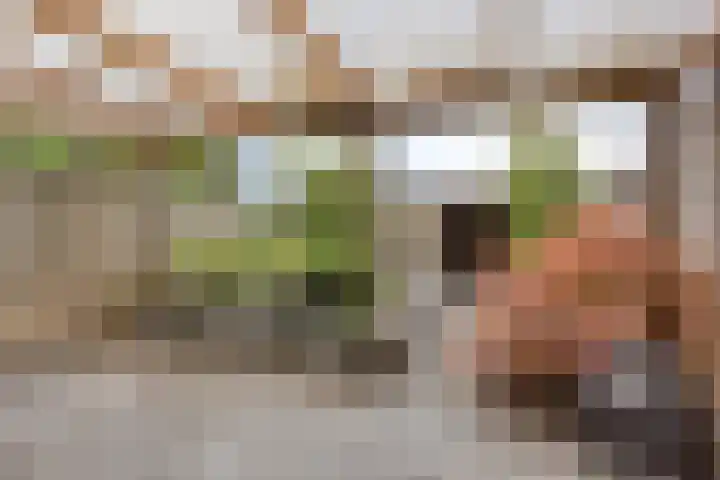 Schoutenlaan 118 Geertruidenberg thumbnail 27
