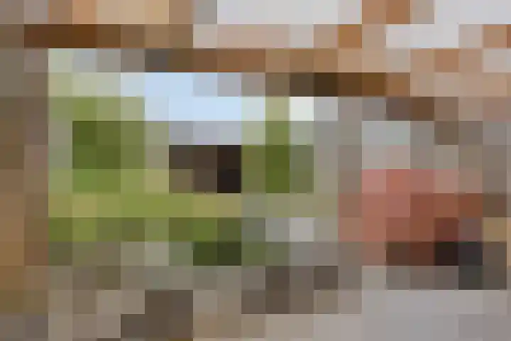 Schoutenlaan 118 Geertruidenberg thumbnail 28