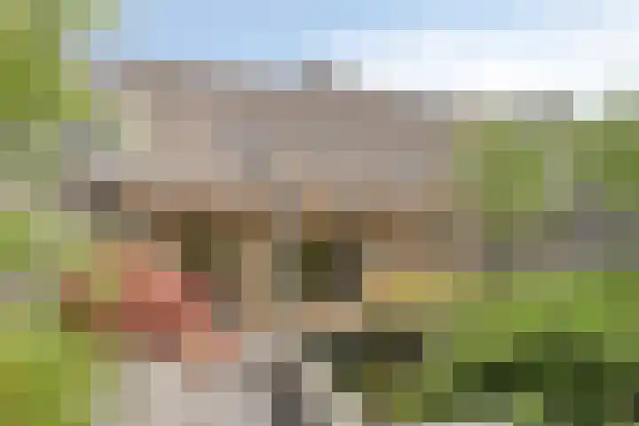 Schoutenlaan 118 Geertruidenberg thumbnail 29