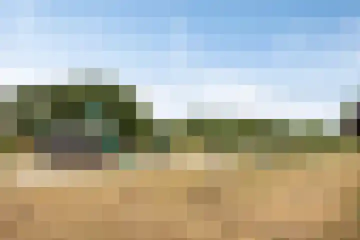 Schoutenlaan 118 Geertruidenberg thumbnail 31