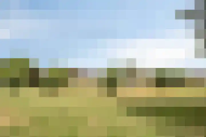 Schoutenlaan 118 Geertruidenberg thumbnail 32