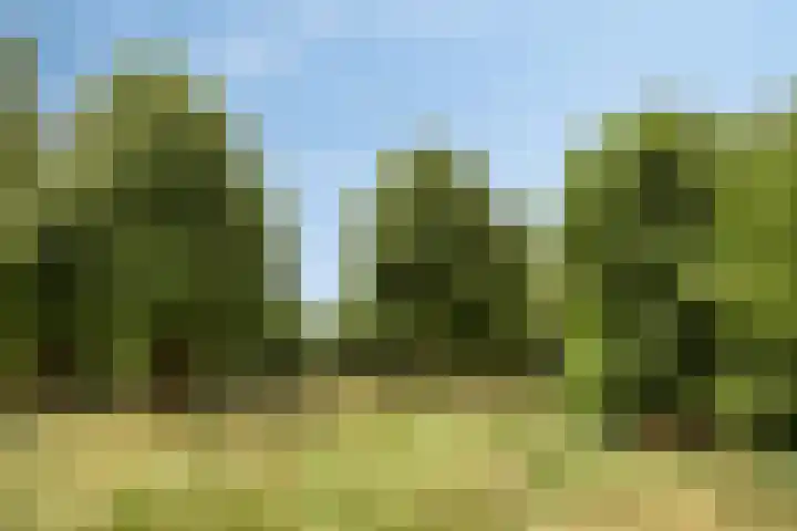 Schoutenlaan 118 Geertruidenberg thumbnail 33