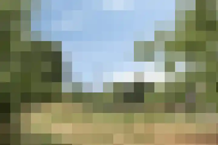 Schoutenlaan 118 Geertruidenberg thumbnail 34