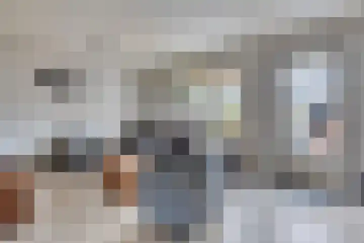 Schoutenlaan 118 Geertruidenberg thumbnail 6