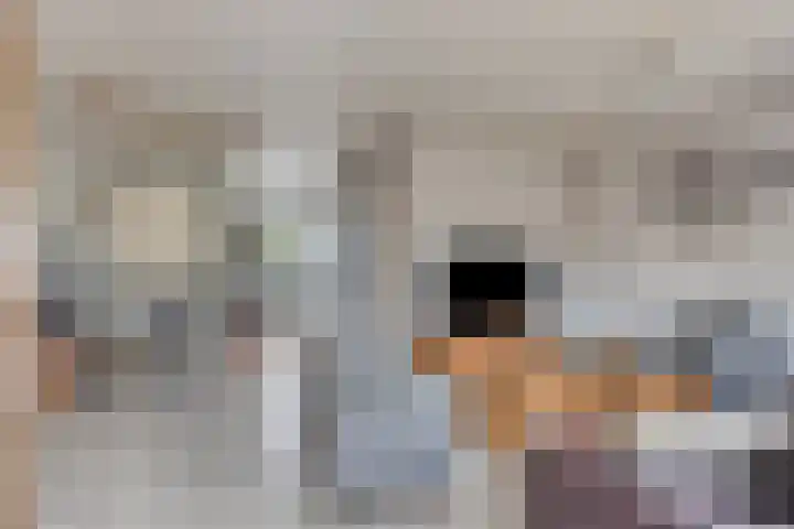 Schoutenlaan 118 Geertruidenberg thumbnail 7