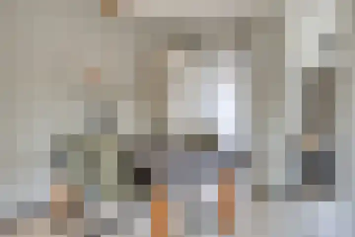 Schoutenlaan 118 Geertruidenberg thumbnail 9