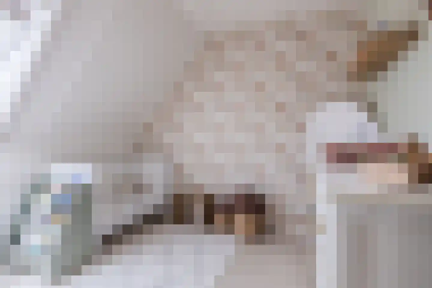 Schoutenlaan 125 Geertruidenberg thumbnail 17