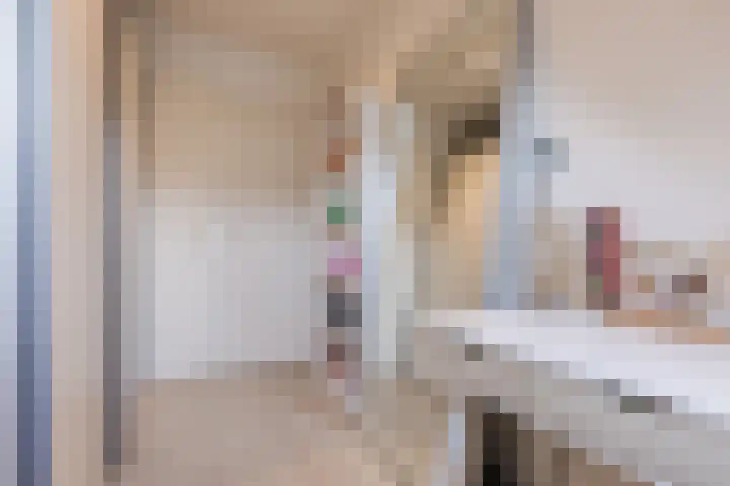 Schoutenlaan 125 Geertruidenberg thumbnail 20