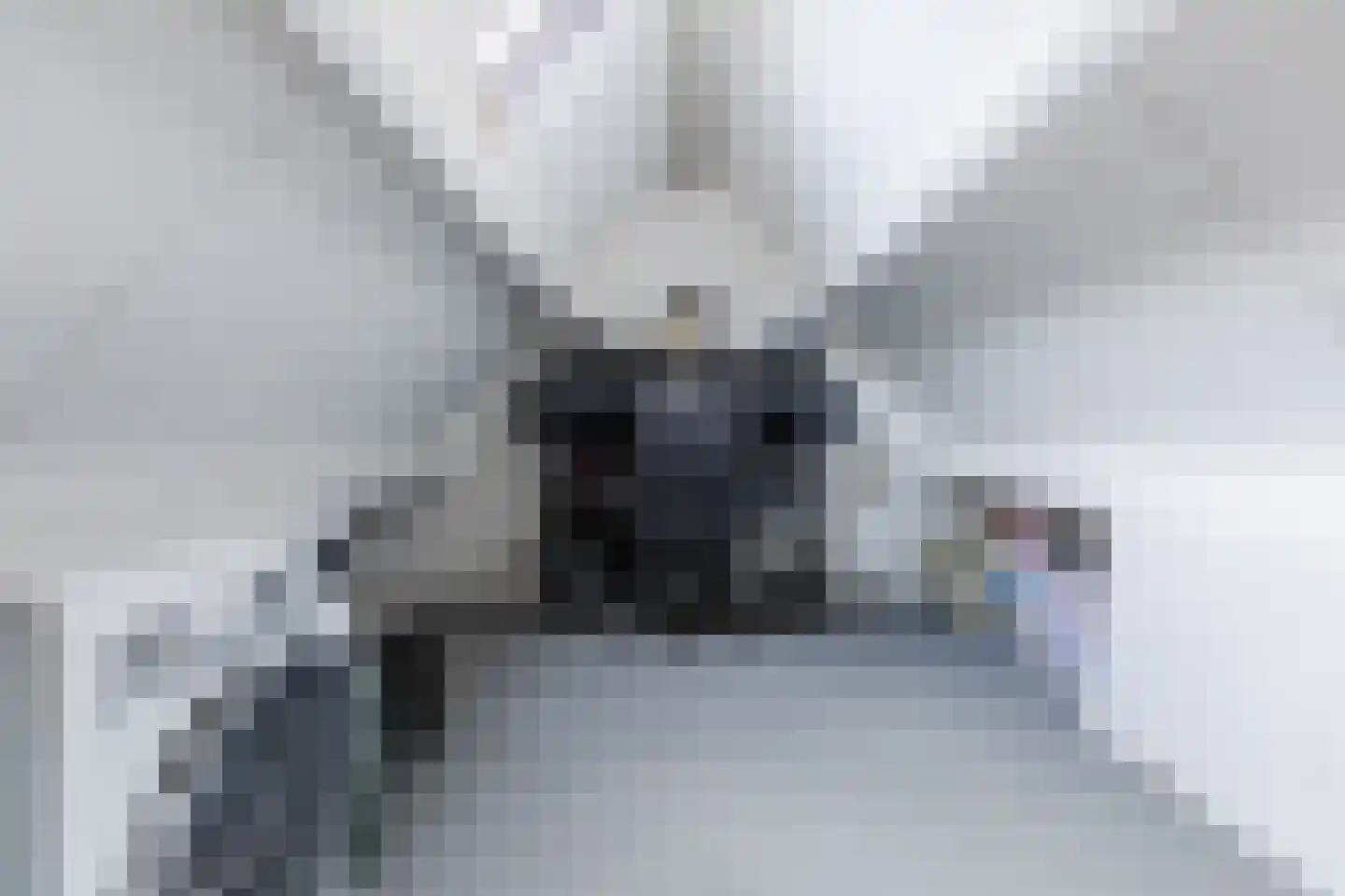Schoutenlaan 125 Geertruidenberg thumbnail 24