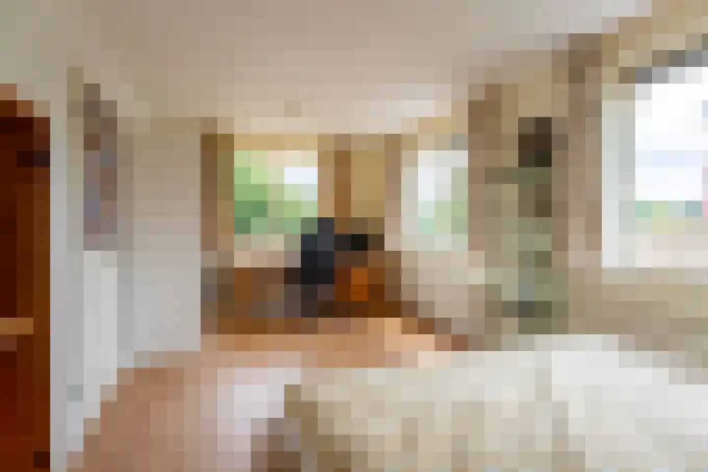 Schoutenlaan 13 Voorhout thumbnail 25