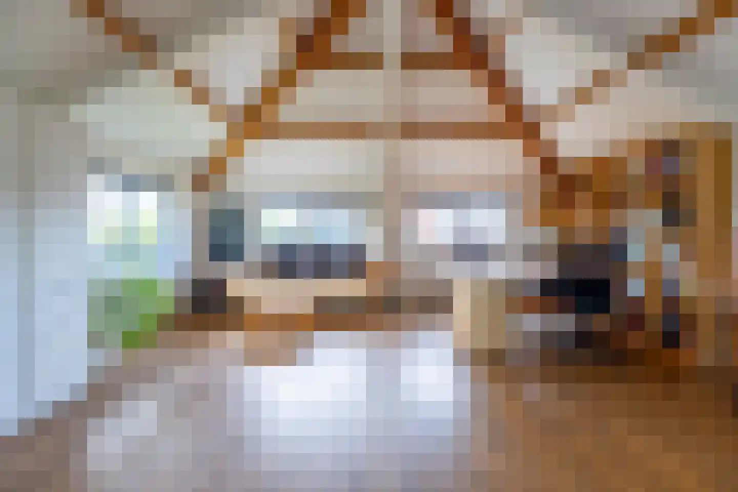 Schoutenlaan 13 Voorhout thumbnail 7