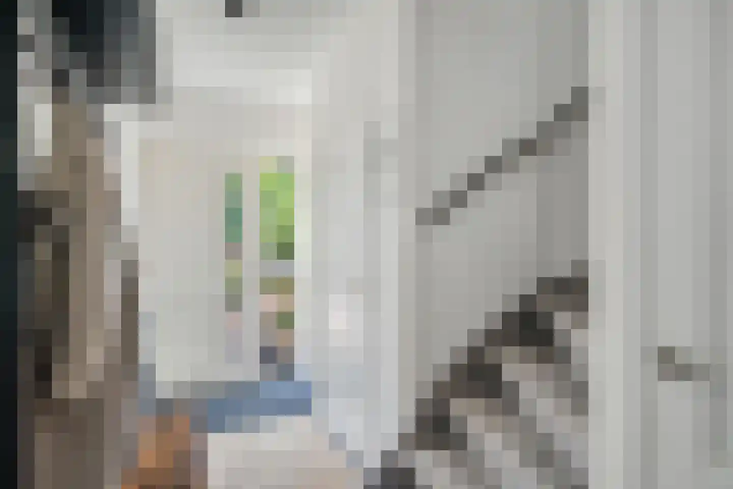 Schoutenlaan 20 Pijnacker thumbnail 18