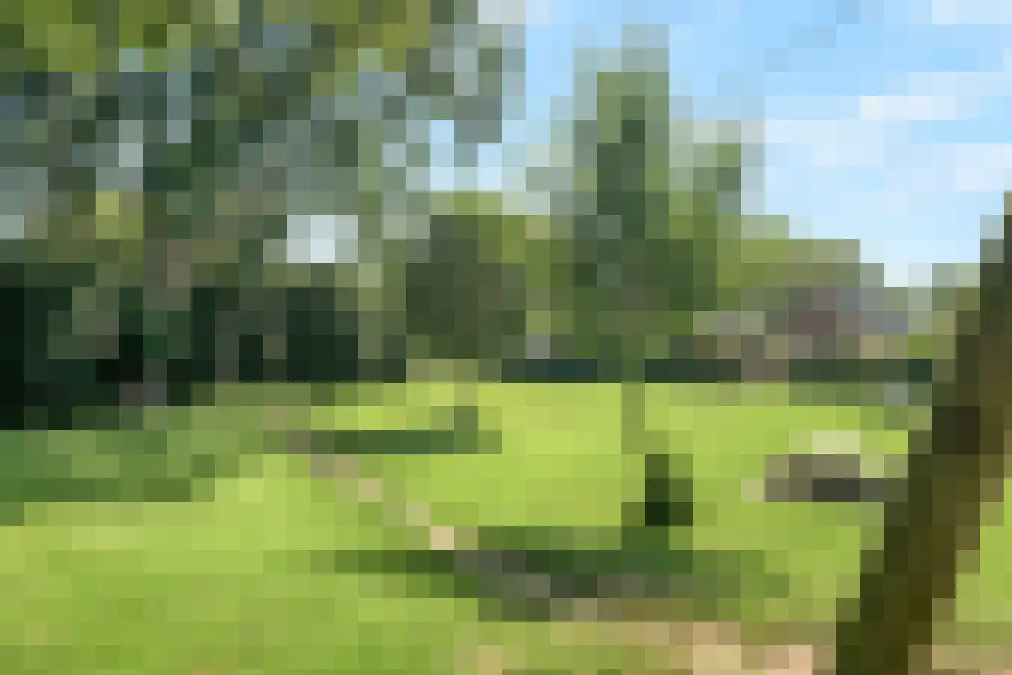 Schoutenlaan 20 Pijnacker thumbnail 32