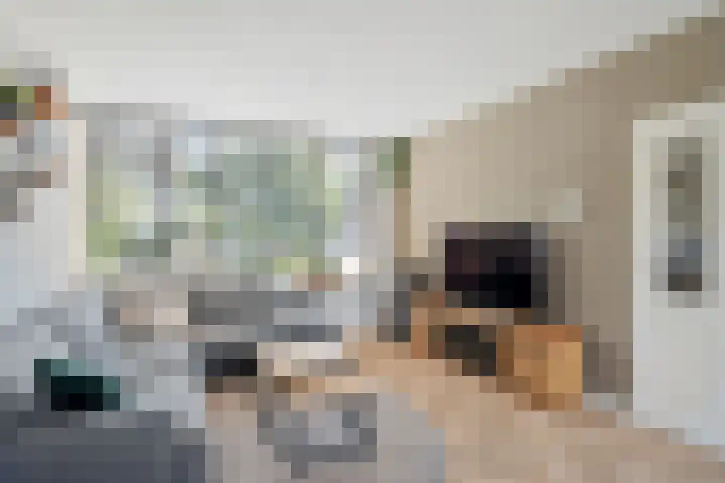 Schoutenlaan 20 Pijnacker thumbnail 6