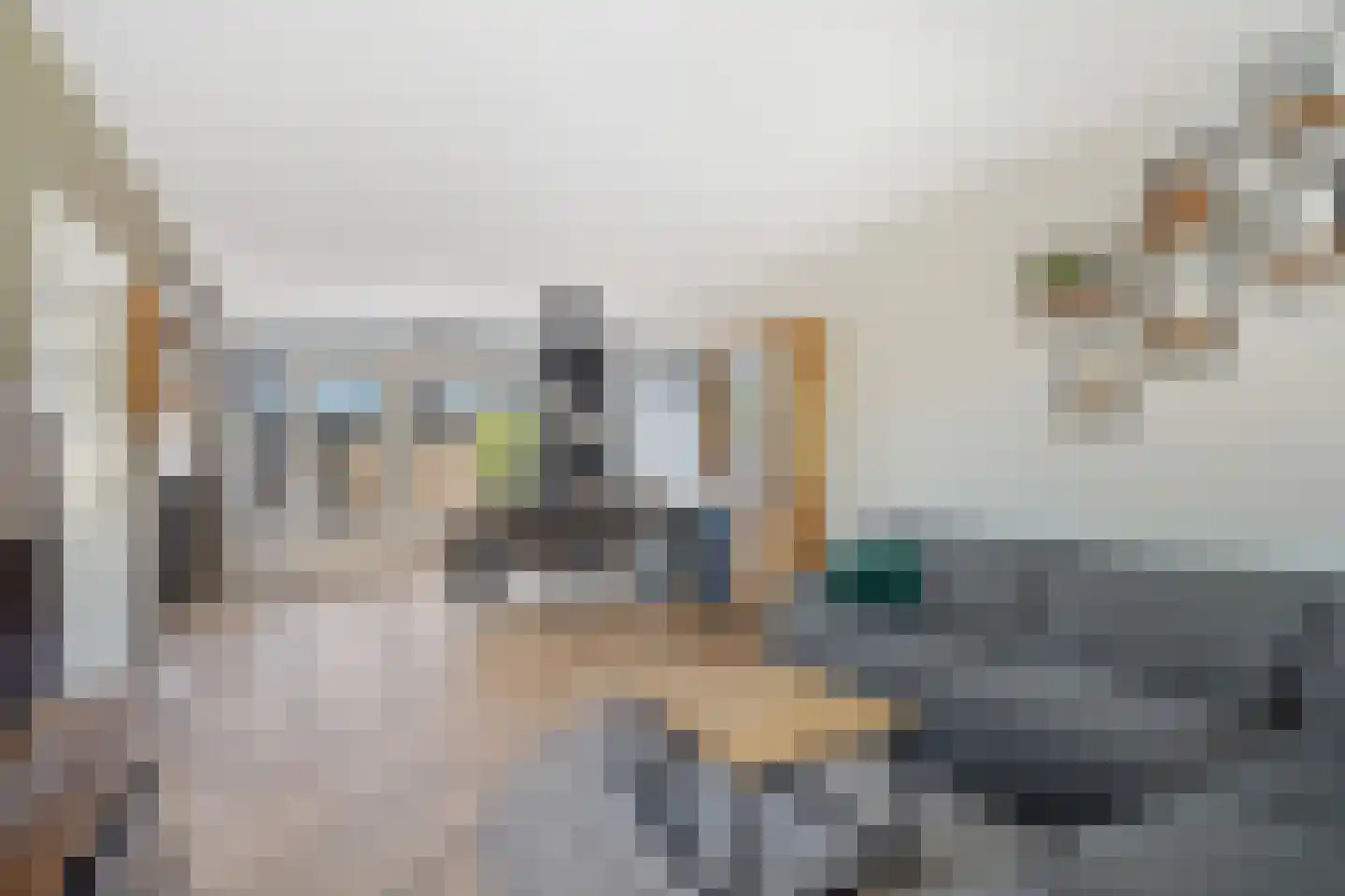 Schoutenlaan 20 Pijnacker thumbnail 7