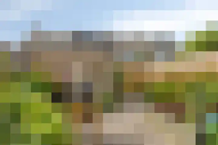 Schoutenlaan 22 Pijnacker thumbnail 18