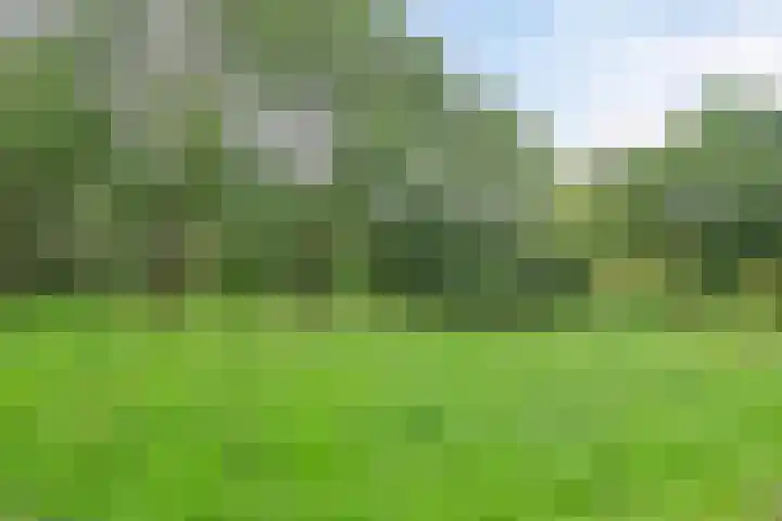 Schoutenlaan 22 Pijnacker thumbnail 21