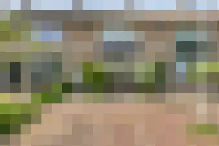 Schoutenlaan 22 Pijnacker thumbnail 27