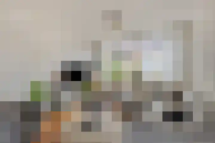 Schoutenlaan 22 Pijnacker thumbnail 4