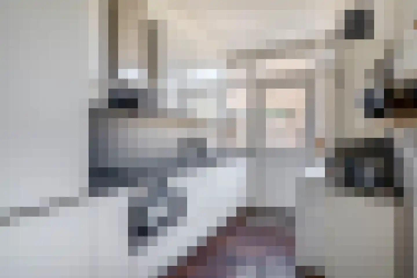 Schoutenlaan 3 Pijnacker thumbnail 8