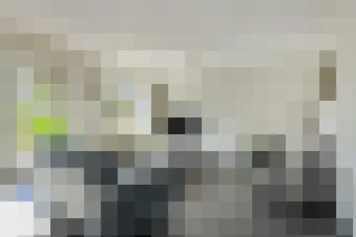 Schoutenlaan 30 Geertruidenberg thumbnail 13