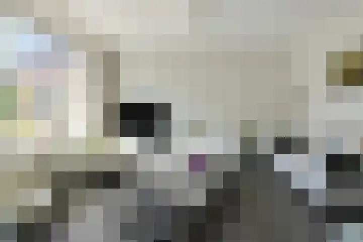 Schoutenlaan 30 Geertruidenberg thumbnail 14