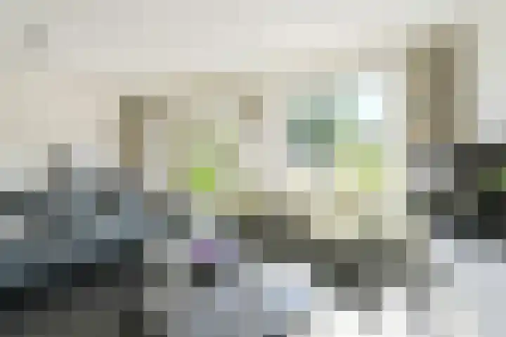 Schoutenlaan 30 Geertruidenberg thumbnail 15