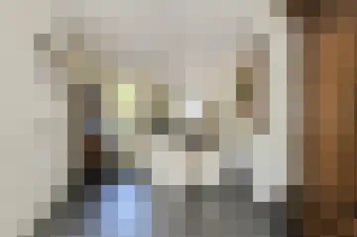 Schoutenlaan 30 Geertruidenberg thumbnail 19