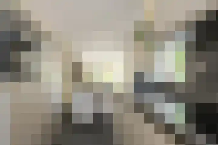 Schoutenlaan 30 Geertruidenberg thumbnail 24