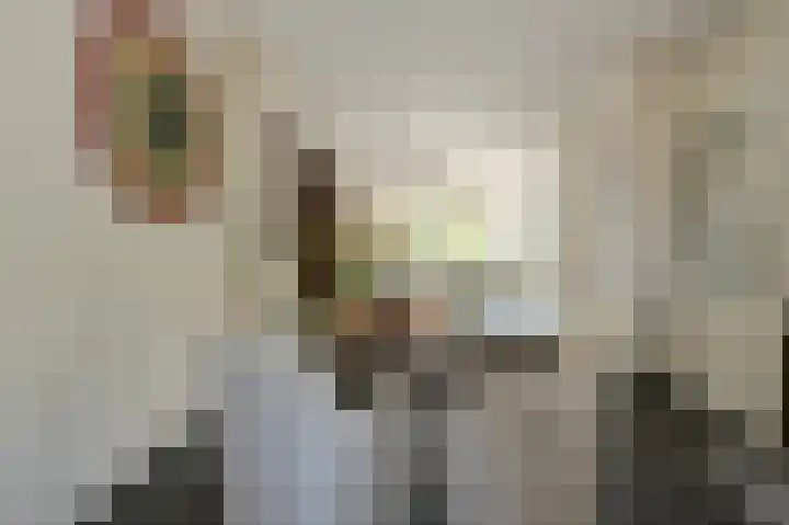 Schoutenlaan 30 Geertruidenberg thumbnail 25
