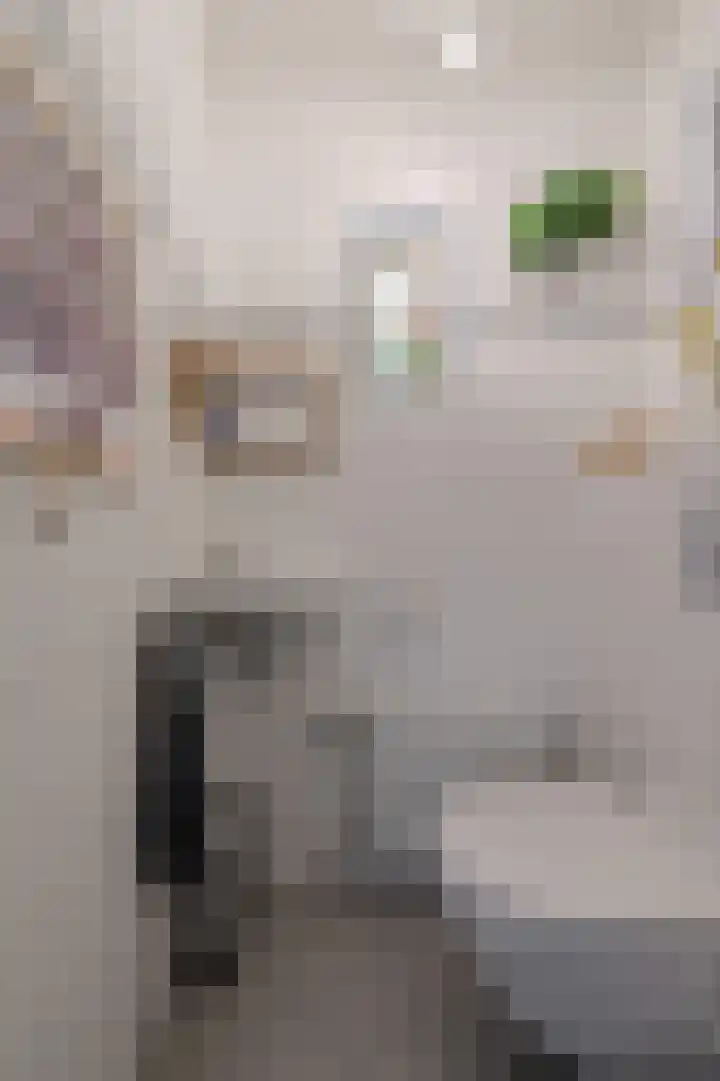 Schoutenlaan 30 Geertruidenberg thumbnail 27