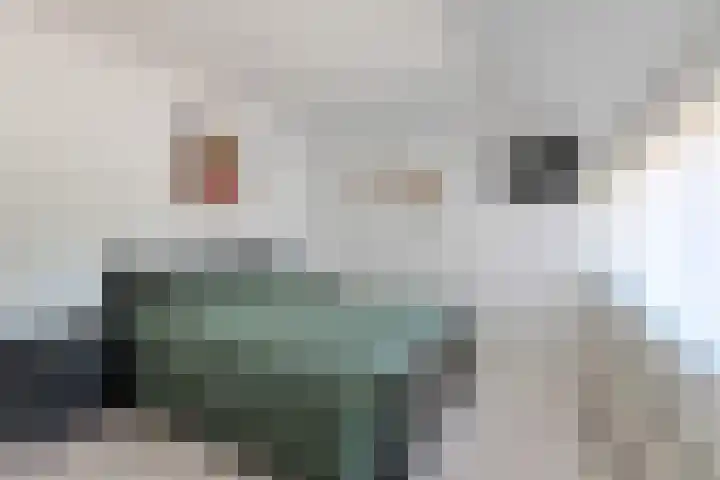 Schoutenlaan 30 Geertruidenberg thumbnail 30