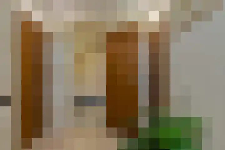 Schoutenlaan 30 Geertruidenberg thumbnail 32