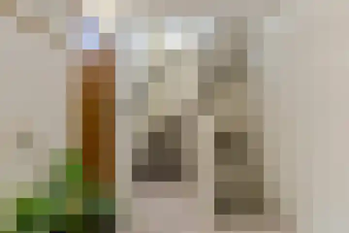 Schoutenlaan 30 Geertruidenberg thumbnail 41