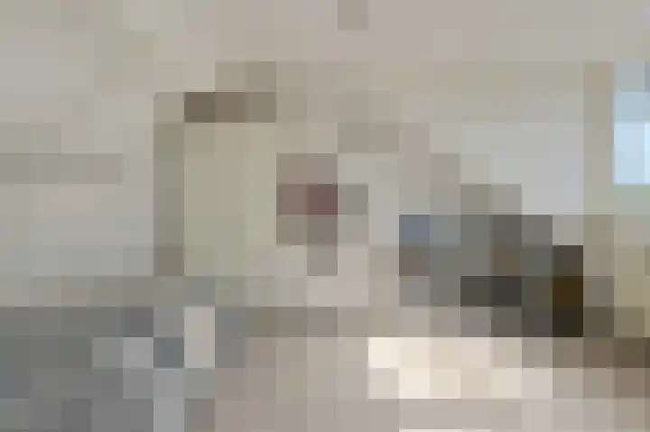 Schoutenlaan 30 Geertruidenberg thumbnail 42