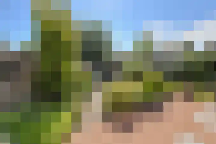 Schoutenlaan 30 Geertruidenberg thumbnail 47