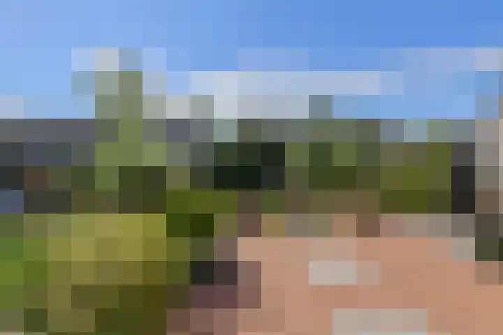 Schoutenlaan 30 Geertruidenberg thumbnail 48