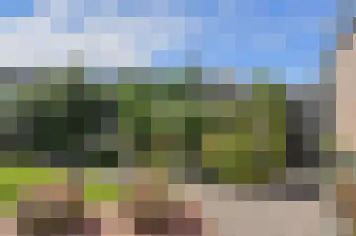 Schoutenlaan 30 Geertruidenberg thumbnail 49
