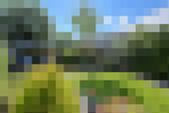 Schoutenlaan 30 Geertruidenberg thumbnail 50