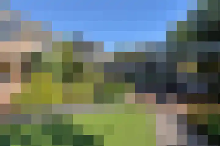 Schoutenlaan 30 Geertruidenberg thumbnail 51