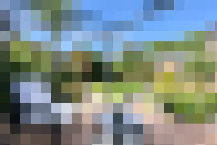 Schoutenlaan 30 Geertruidenberg thumbnail 54