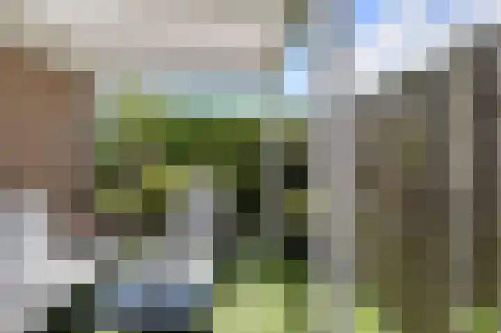Schoutenlaan 30 Geertruidenberg thumbnail 58