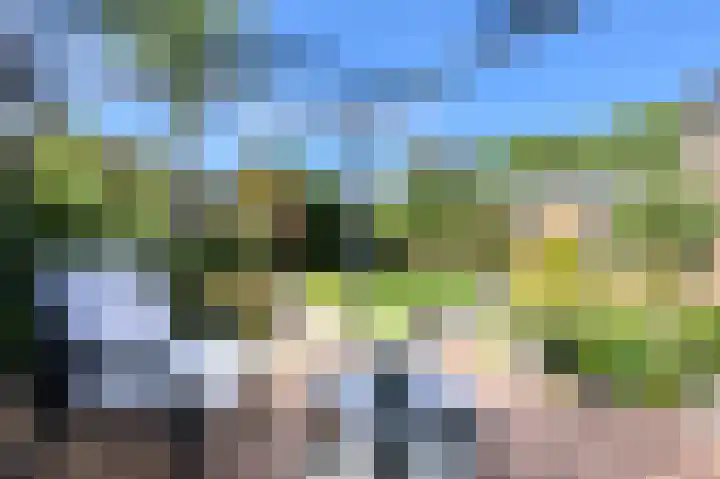 Schoutenlaan 30 Geertruidenberg thumbnail 6
