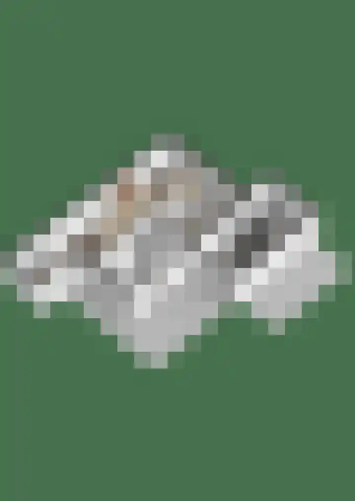 Schoutenlaan 30 Geertruidenberg thumbnail 62