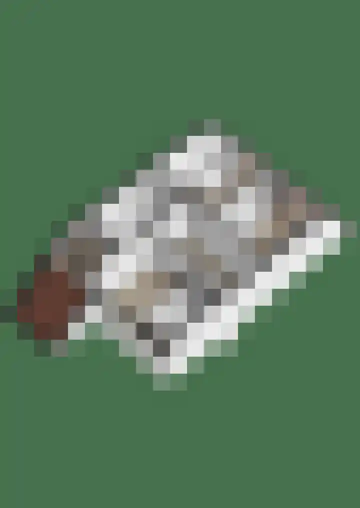 Schoutenlaan 30 Geertruidenberg thumbnail 65