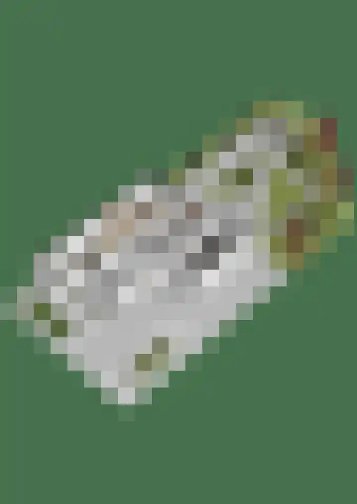 Schoutenlaan 30 Geertruidenberg thumbnail 68